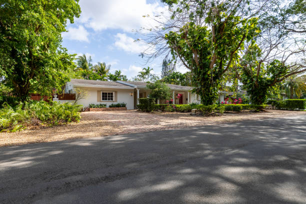 istock House Miami Florida Exterior Nature Design Grass 1504198812