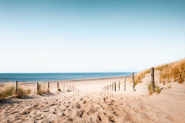 Sandy dunes on the beach in Noordwijk, Netherlands stock photo