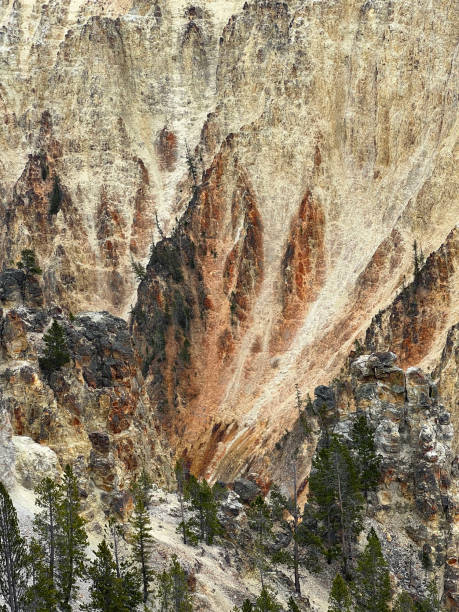 istock Grand Canyon of Yellowstone 1504208466