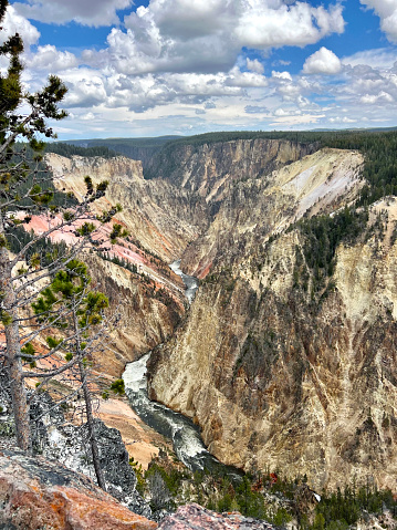 View of Lower Falls and the yellow canyon walls.\nThe Yellowstone River has carved down more than 1,000 feet to create the Grand Canyon of the Yellowstone