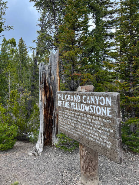 Grand Canyon of Yellowstone Trail sign for the Grand Canyon of Yellowstone
The Yellowstone River has carved down more than 1,000 feet to create the Grand Canyon of the Yellowstone grand canyon of yellowstone river stock pictures, royalty-free photos & images