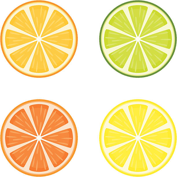 감귤류 과일 슬라이스 - lemon isolated clipping path white background stock illustrations