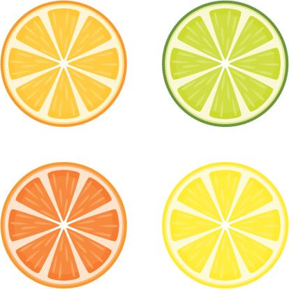 A set of citrus fruit slices: orange, lime, lemon and grapefruit.  No gradients were used when creating this illustration.