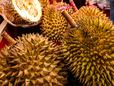 Malaysian woman holding Durian fruit known for its smell.