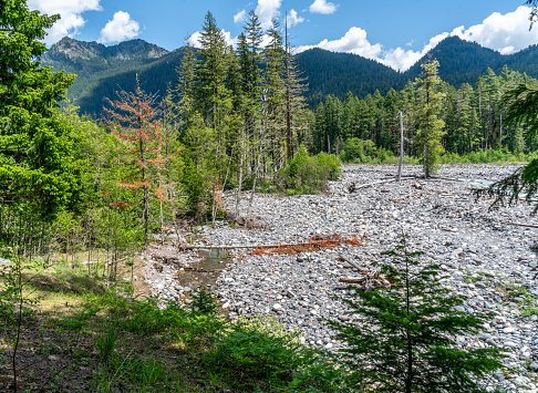 A view of a rocky riverbed near Mount Rainier in Washington State.