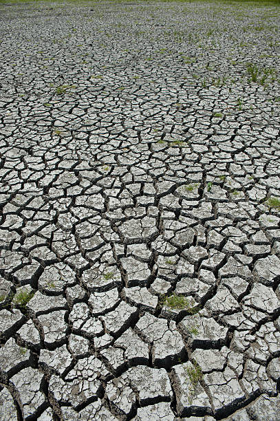 istock Wetland damaged by drought 150421302