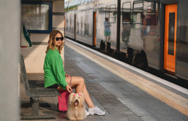 istock On holiday with the dog. 1504214436
