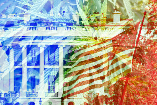 istock Legalization of Marijuana 1504217769