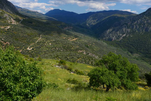 istock Landscape in spring in front of Delphi, Greece 1504218317