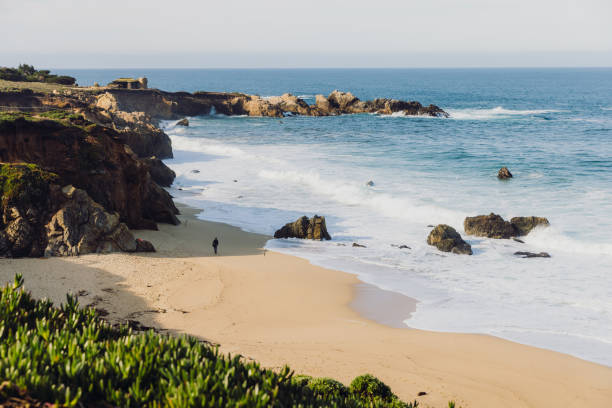 istock Scenic view rocky beach with fresh spring plants at Big Sur, California 1504236123