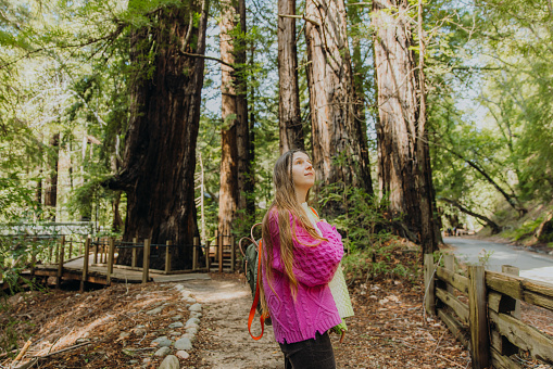 Side view of female with long hair and backpack wearing colorful sweater walking in scenic forest with redwood trees in Monterey Peninsula, the USA
