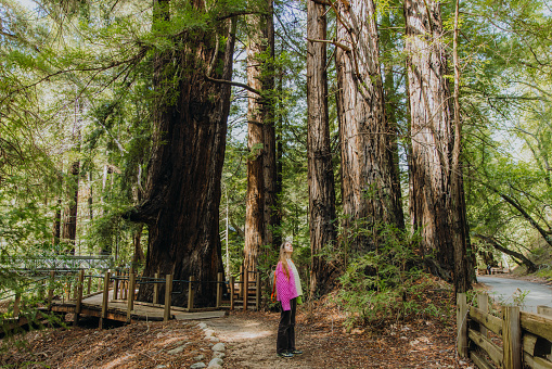 Side view of female with long hair and backpack wearing colorful sweater walking in scenic forest with redwood trees in Monterey Peninsula, the USA