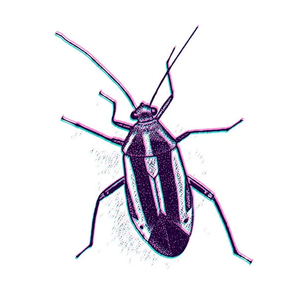 Vector illustration of Four-Lined Plant Bug with Glitch Technique