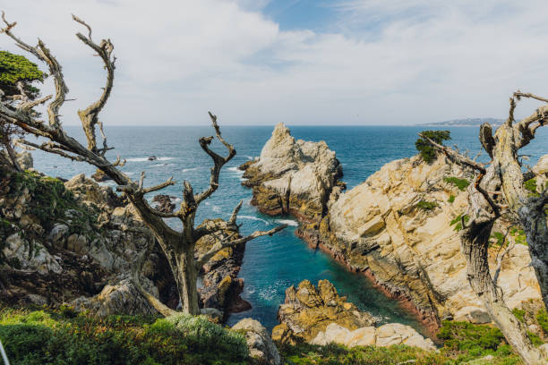 vista de la pintoresca costa rocosa en la reserva natural estatal de point lobos, california - point lobos state reserve big sur california beach fotografías e imágenes de stock