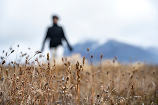 Out of focus woman walking towards camera through weed field in fall with blank space.