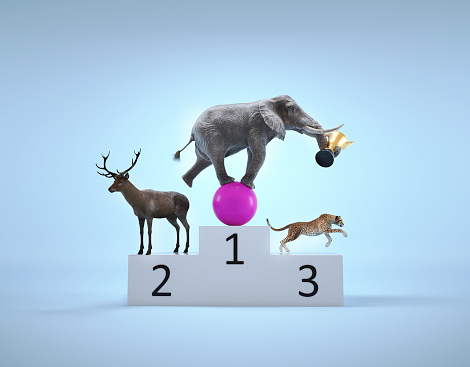 Animals ( elephant, deer and cheetah) standing on a podium, exulting celebrating victory. This is a 3d render illustration