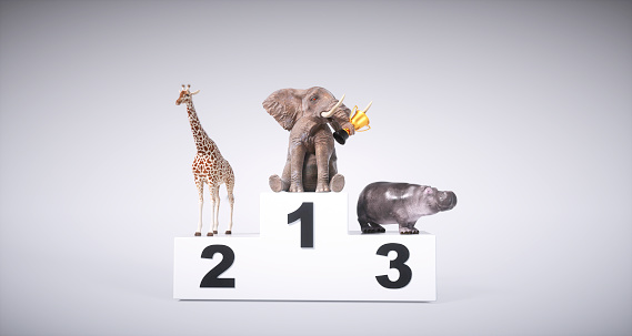 Animals ( elephant, giraffe and hippopotamus) standing on a podium, exulting celebrating victory. This is a 3d render illustration