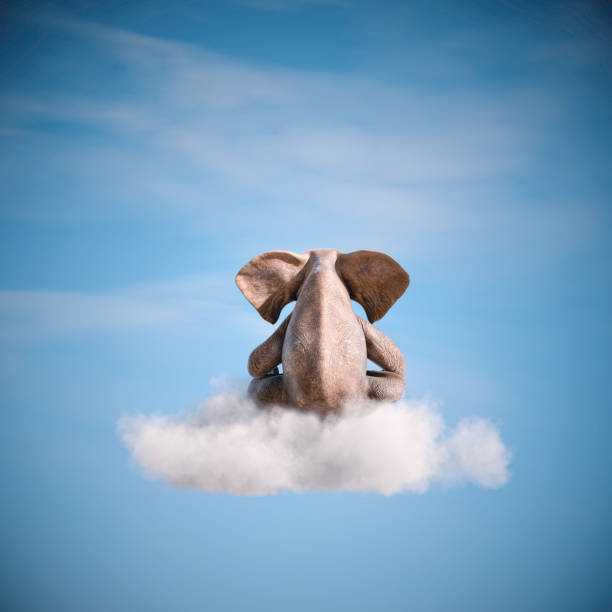 istock Elephant sitting on a cloud in the sky . 1504255226