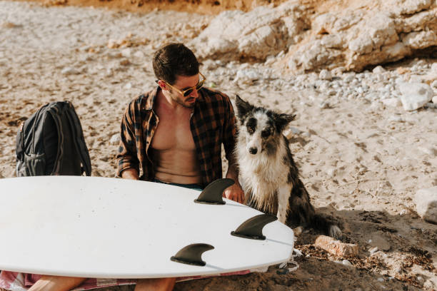 istock Handsome surfer with his dog on sandy beach 1504257034