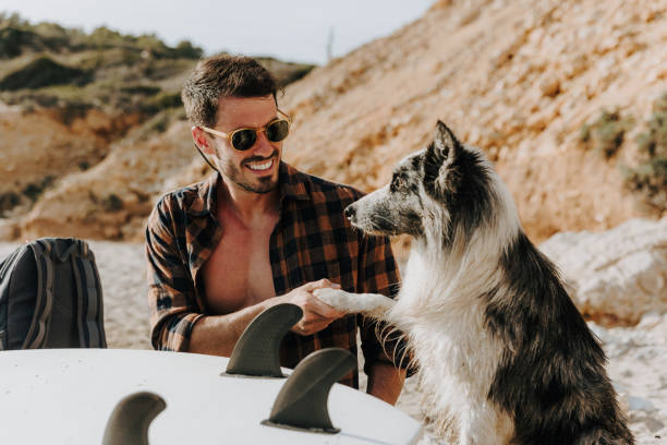 istock Handsome surfer with his dog on sandy beach 1504257047