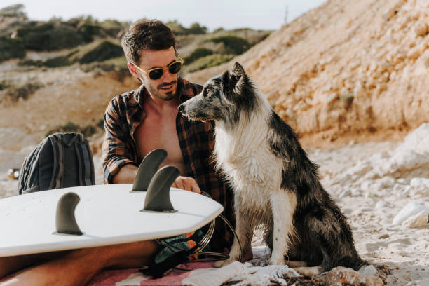 istock Handsome surfer with his dog on sandy beach 1504257565