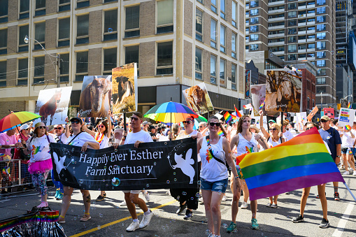 Toronto, Canada - June 25, 2023: Happily Ever Esther Farm Sanctuary, an animal sanctuary located in Campbellville, Ontario, Canada, promotes compassion, kindness, and respect for all living beings, while also raising awareness about the realities of animal agriculture and encouraging a vegan lifestyle.