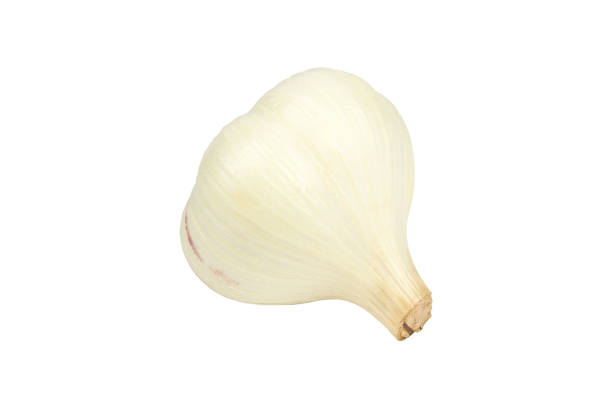 garlic. Young garlic isolated from background garlic. Young garlic isolated from background acrid taste stock pictures, royalty-free photos & images