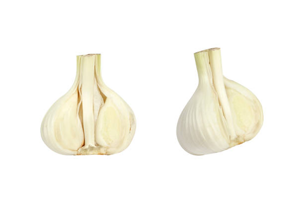 garlic. Young garlic isolated from background garlic. Young garlic isolated from background acrid taste stock pictures, royalty-free photos & images