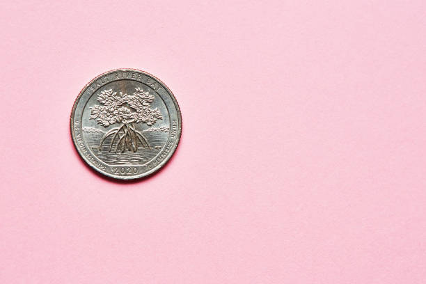 istock US quarter dollar coin on a pink background with copy space 1504271315