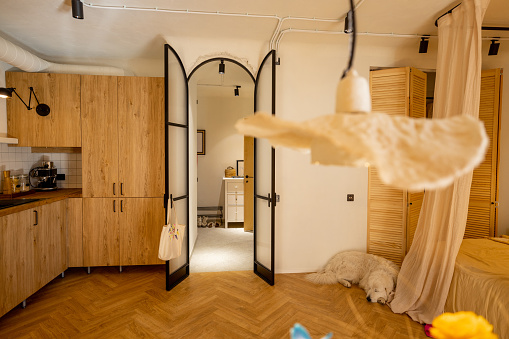 Photo of stylish interior made in wooden materials of modern studio apartment. Oak kitchen facades and metal arch door