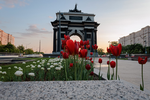 Tulips and Triumphal Arch in Moscow