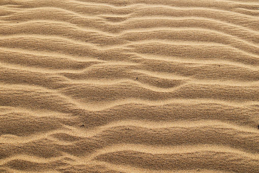 Close up on the surface of the sand on the dunes of Gran Canary Island
