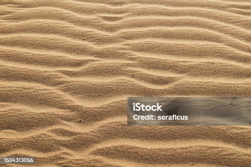 istock Ripples in the sand 1504313056