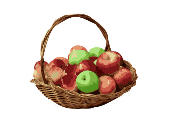 ilustrações, clipart, desenhos animados e ícones de cesta de maçãs maduras, imagem vetorial da foto - agriculture autumn apple greengrocers shop