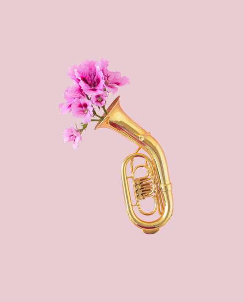 concetto creativo di strumento musicale tuba con fiori di geranio volanti in piena fioritura. - trumpet musical instrument music brass foto e immagini stock