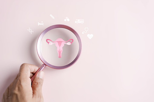 Checkup uterus, female reproductive system, women's health, PCOS, ovary gynecologic and cervical cancer, Healthy feminine concept