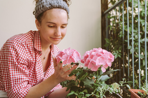 young woman, teenager girl, attractive, in plaid shirt, sits on balcony, terrace, takes care plant in flowerpot, transplants beautiful hydrangea with pink petals