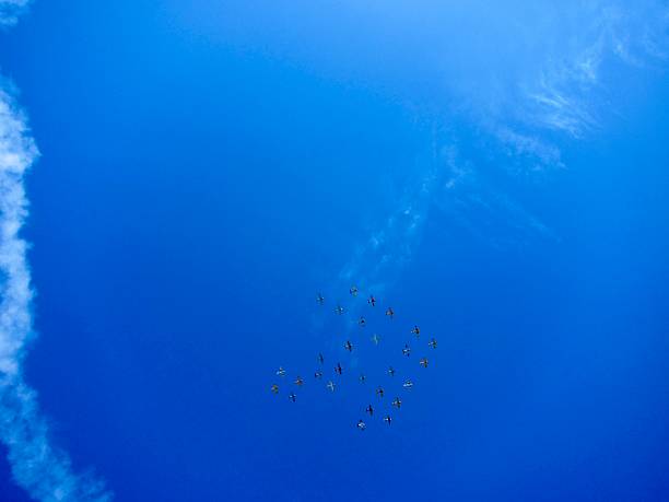 istock Vans RV formation flight at EAA AirVenture Oshkosh 1504418990