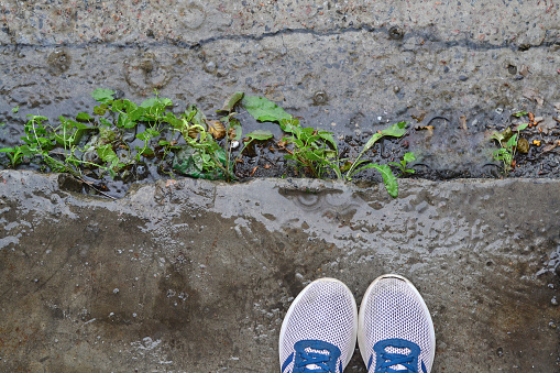 Pink sneakers on a girl standing in the rain