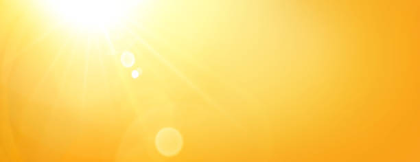 istock Nature sunny abstract summer background with sun 1504426150