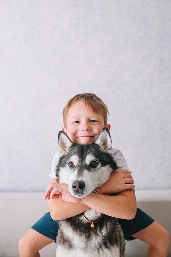 Happy little kid embracing his husky dog at home. Unconditional love
