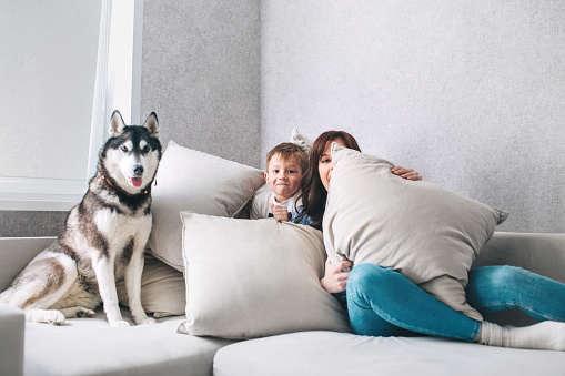 Mother, son and the husky dog having fun in the living room