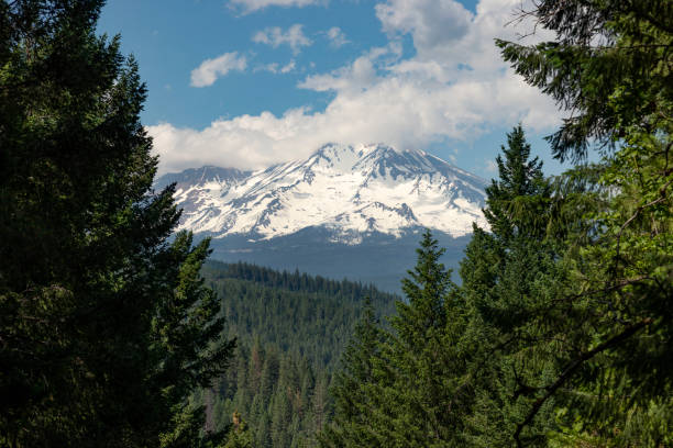 istock Mount Shasta, Northern California 1504434157