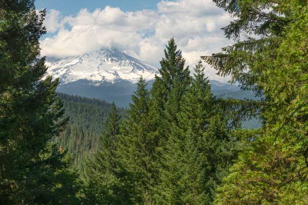 istock Mount Shasta as seen from Castle Crags State Park 1504434323
