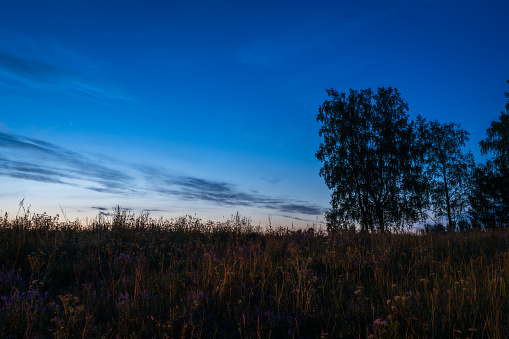 Night landscape. People in Latvia celebrate midsummer in 24th of June.