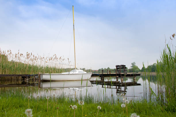 Lake in Masuria stock photo