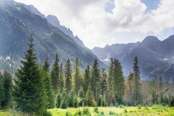istock Tatra National Park, Polish Tatra Mountains 1504491606