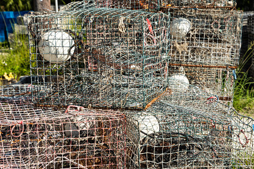 piled up crab traps