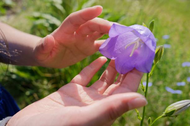 A young woman holds a single, white flower in her right hand, while a second person looks on in admiration