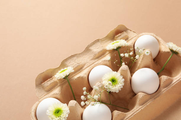 istock Concept of meal for breakfast, eggs, space for text 1504511820